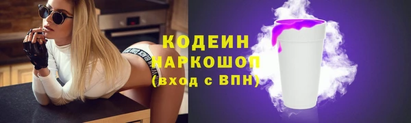 стафф Каменногорск