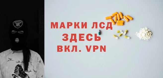 стафф Каменногорск