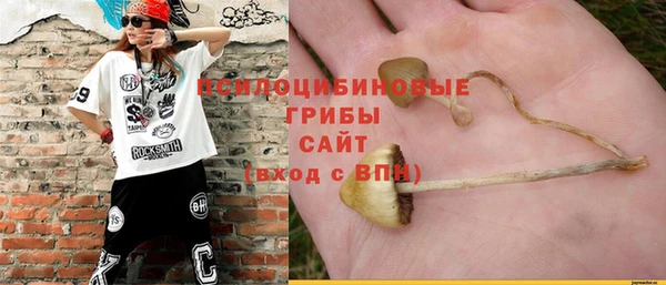 стафф Каменногорск