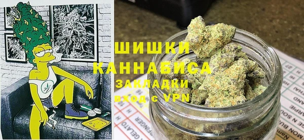 метадон Каменка