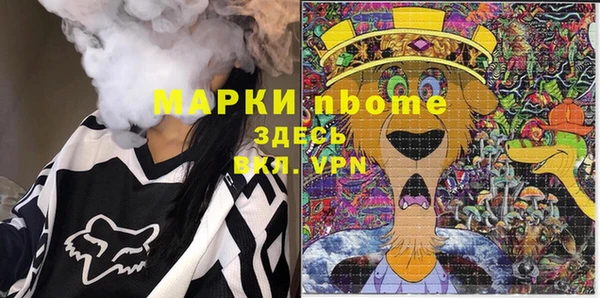 стафф Каменногорск