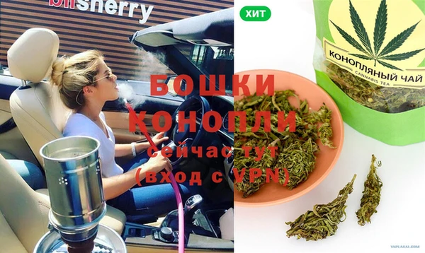 стафф Каменногорск