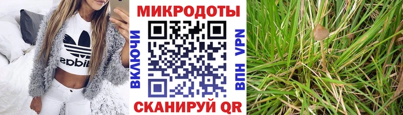 Галлюциногенные грибы GOLDEN TEACHER  Купить  Себеж 